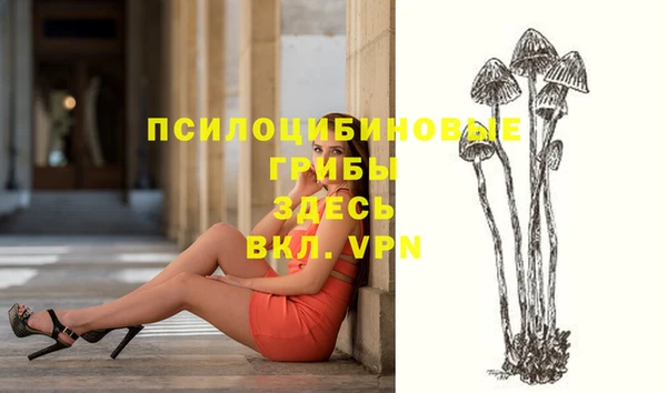 герыч Богородицк