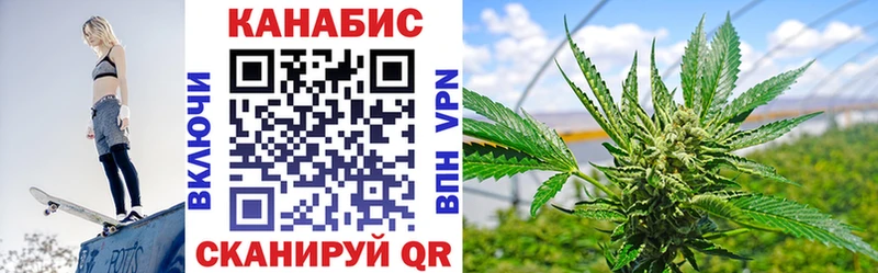 Бошки марихуана сатива  Бузулук 
